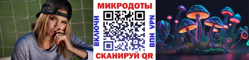 где найти Жиздра Псилоцибиновые грибы Magic Shrooms
